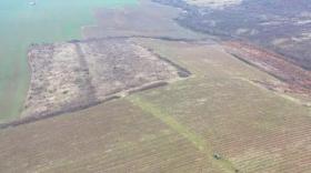 Rumänien Weingut zu verkaufen - αμπελοκομία προς πώληση στο Târnava, Ρουμανία