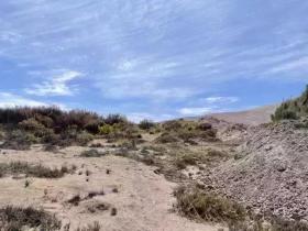 Chile 220 ha Fundo zu verkaufen - Tarımsal holdingler satılık 'de Huara-Huara, Şili
