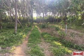 Eiendom land / skogbruk til salgs i กระบี่, Thailand