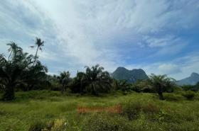 Eiendom land / skogbruk til salgs i กระบี่, Thailand
