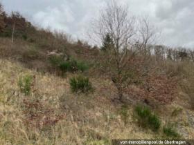 2 - Emlak arazi / ormancılık Hacizler 'de Piesport-Bernkastel-Wittlich, Almanya