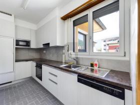 zemin apartman  kiralık 'de Bellinzona-Monti di Artore, İsviçre
