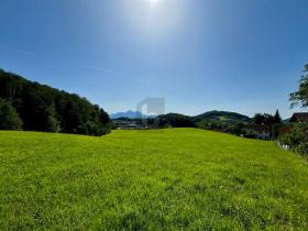 Property land/forestry for sale in Salzburg-Leopoldskroner Moos, Austria