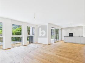 διαμέρισμα πάτωμα προς ενοικίαση στο Susten, Ελβετία διαμέρισμα πάτωμα προς ενοικίαση στο Susten, Ελβετία