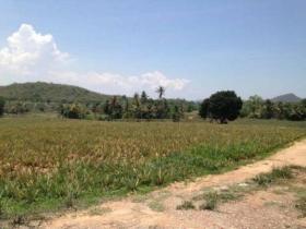 Property land/forestry for sale in ประจวบคีรีขันธ์, Thailand Property land/forestry for sale in ประจวบคีรีขันธ์, Thailand