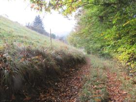 Jordbruksoverflate Tvangsauksjon i Mattelsberg, Austria