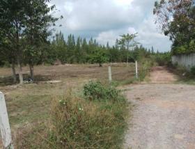 Eiendom land / skogbruk Til salgs i ประจวบคีรีขันธ์, Thailand Eiendom land / skogbruk Til salgs i ประจวบคีรีขันธ์, Thailand